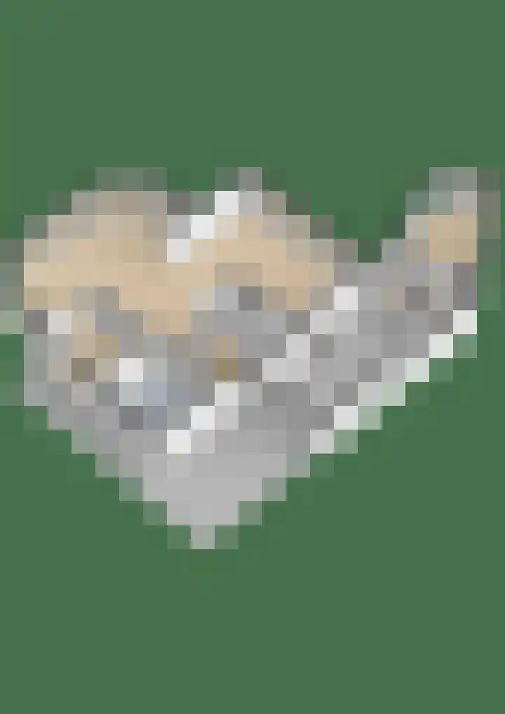 Burgemeester Lepelaarssingel 11 Krimpen aan den IJssel thumbnail 68