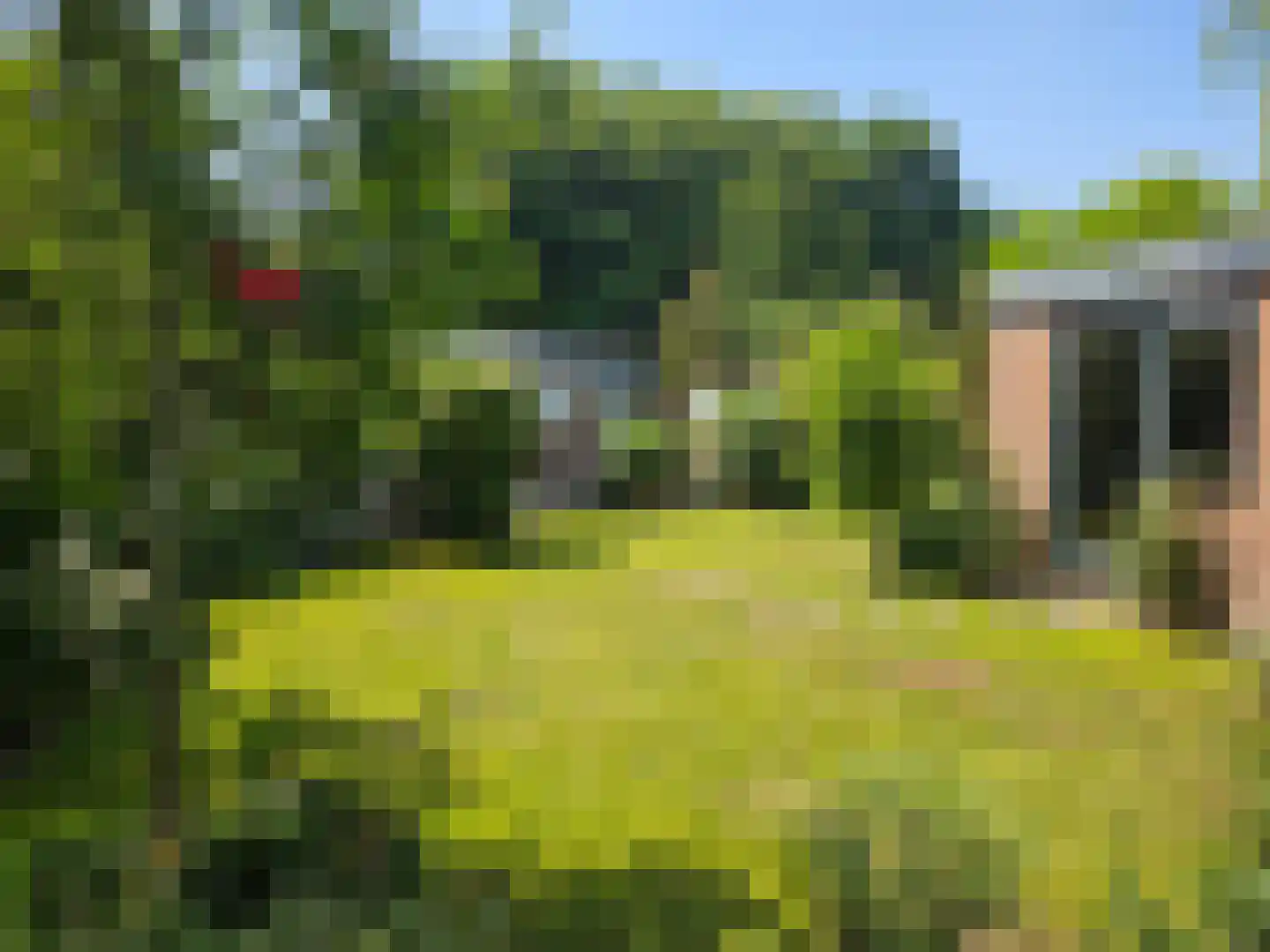 Burgemeester Lepelaarssingel 25 Krimpen aan den IJssel thumbnail 38