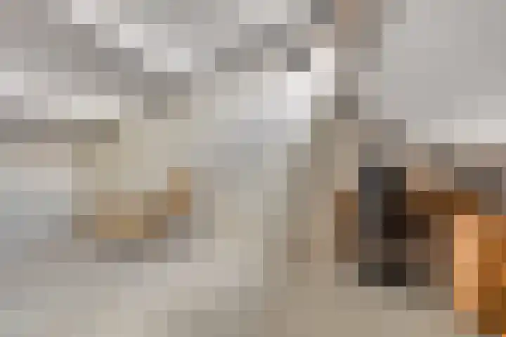Burgemeester Lepelaarssingel 38 Krimpen aan den IJssel thumbnail 33