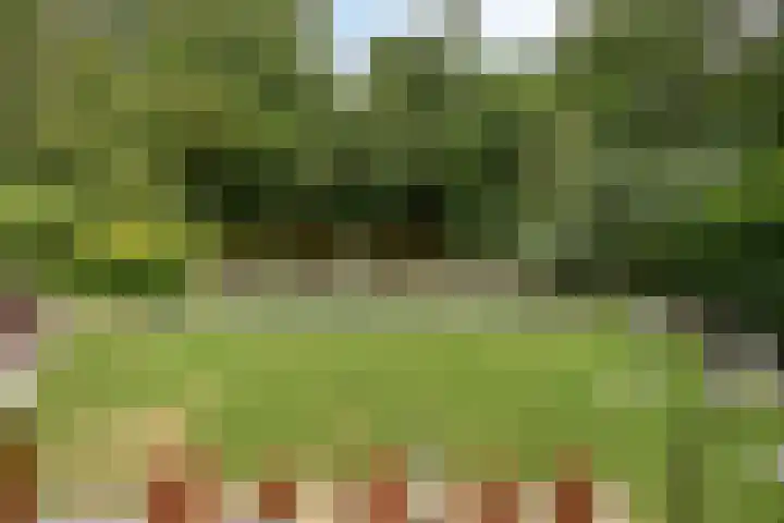 Burgemeester Lepelaarssingel 38 Krimpen aan den IJssel thumbnail 36