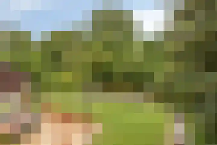 Burgemeester Lepelaarssingel 38 Krimpen aan den IJssel thumbnail 37