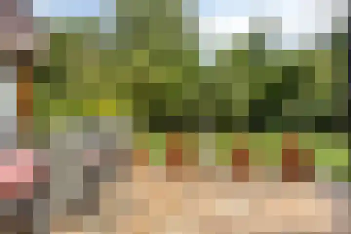 Burgemeester Lepelaarssingel 38 Krimpen aan den IJssel thumbnail 38