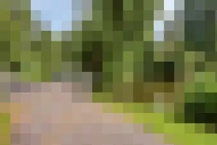 Burgemeester Lepelaarssingel 38 Krimpen aan den IJssel thumbnail 47