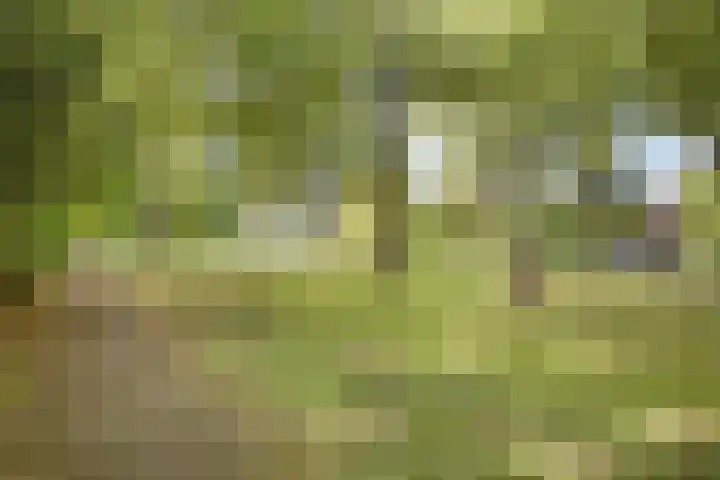 Burgemeester Lepelaarssingel 38 Krimpen aan den IJssel thumbnail 48
