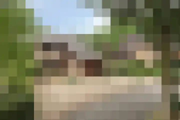 Burgemeester Lepelaarssingel 38 Krimpen aan den IJssel thumbnail 5