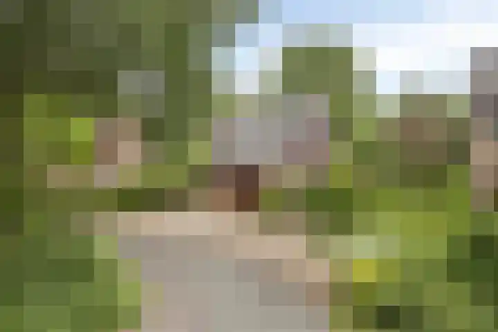 Burgemeester Lepelaarssingel 38 Krimpen aan den IJssel thumbnail 6