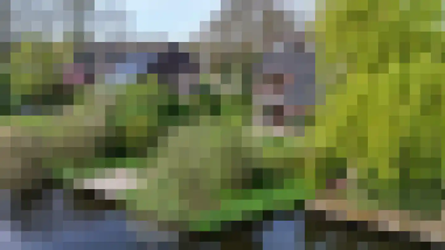 Burgemeester Lepelaarssingel 40 Krimpen aan den IJssel thumbnail 56