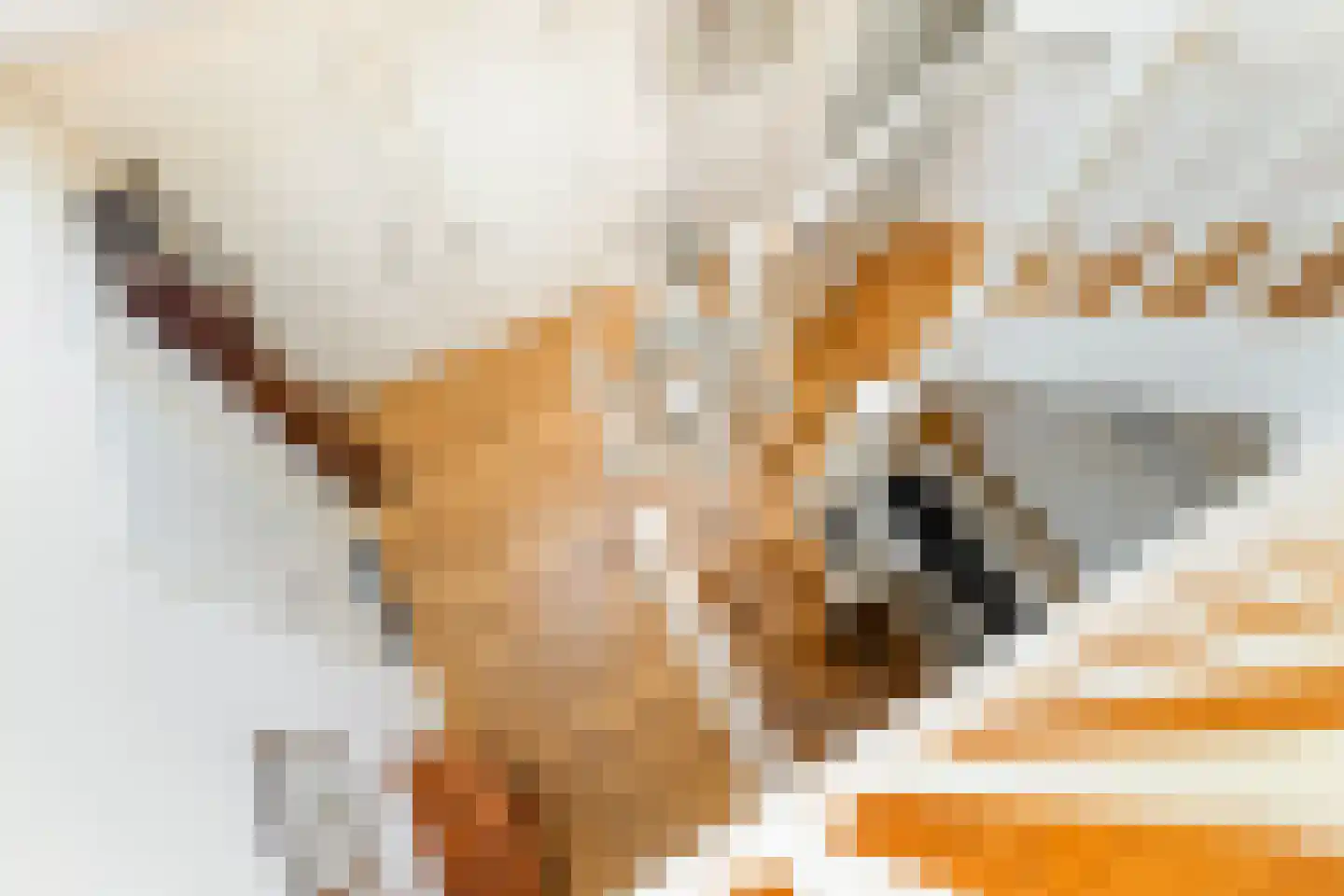 Burgemeester Lepelaarssingel 7 Krimpen aan den IJssel thumbnail 66