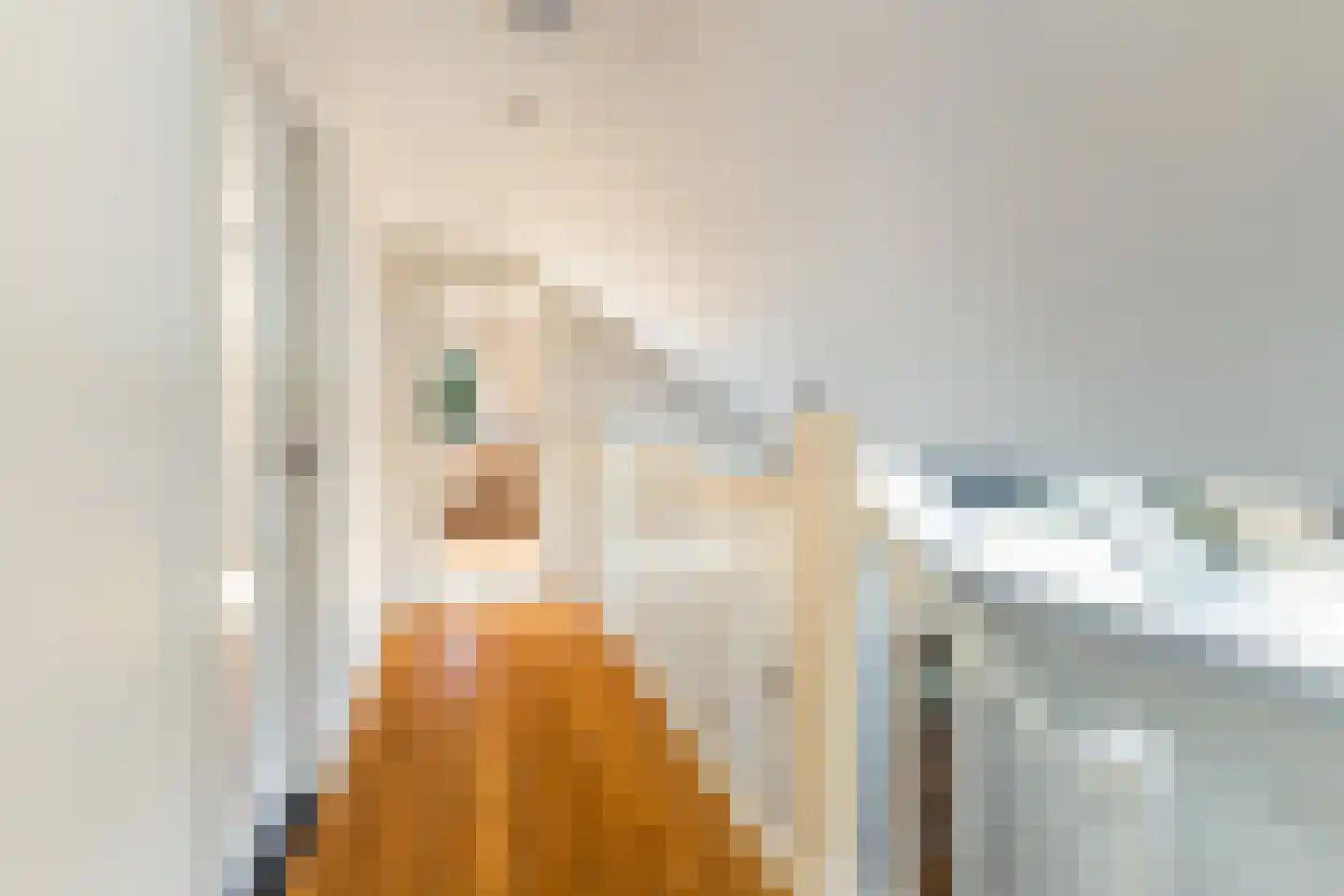 Burgemeester Lepelaarssingel 7 Krimpen aan den IJssel thumbnail 67