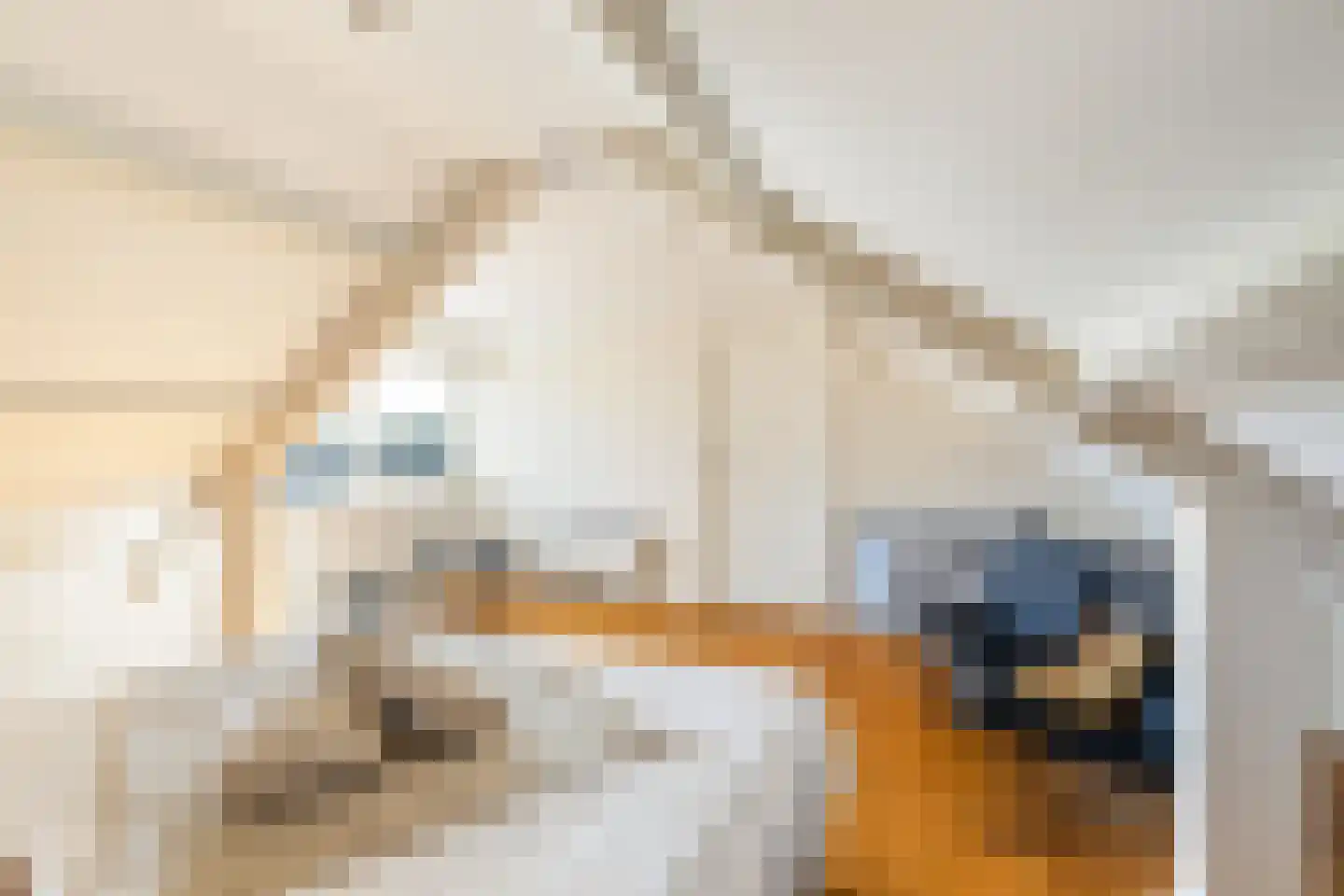 Burgemeester Lepelaarssingel 7 Krimpen aan den IJssel thumbnail 69