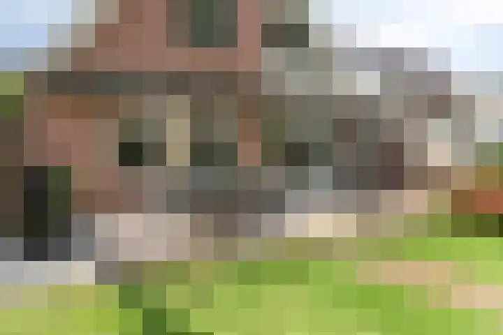 Burgemeester Lepelaarssingel 70 Krimpen aan den IJssel thumbnail 33