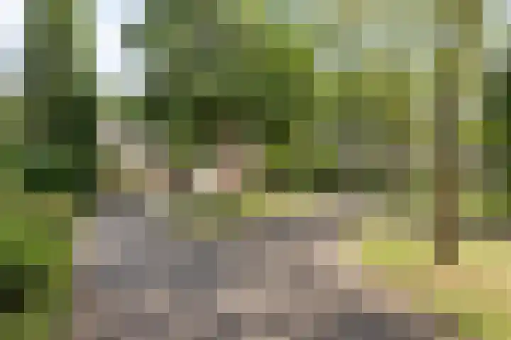 Burgemeester Lepelaarssingel 70 Krimpen aan den IJssel thumbnail 44