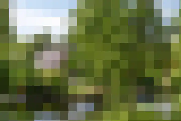 Burgemeester Lepelaarssingel 70 Krimpen aan den IJssel thumbnail 46