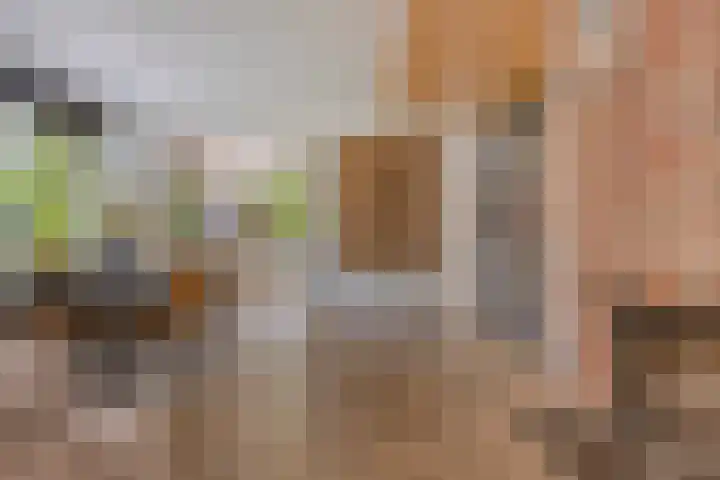 Burgemeester Lepelaarssingel 70 Krimpen aan den IJssel thumbnail 8