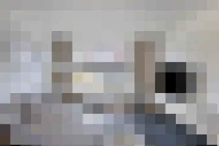 Burgemeester Lespinassestraat 7 Maastricht thumbnail 11