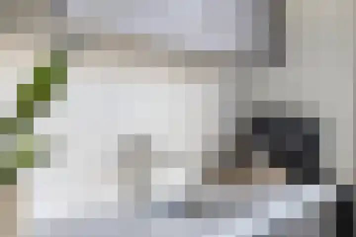 Burgemeester Lespinassestraat 7 Maastricht thumbnail 24