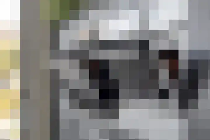 Burgemeester Lespinassestraat 7 Maastricht thumbnail 25
