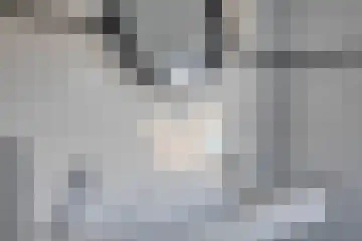 Burgemeester Lespinassestraat 7 Maastricht thumbnail 31