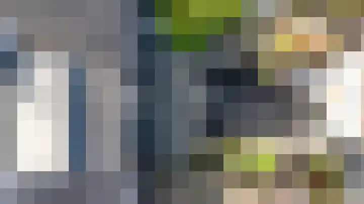 Burgemeester Lespinassestraat 7 Maastricht thumbnail 47