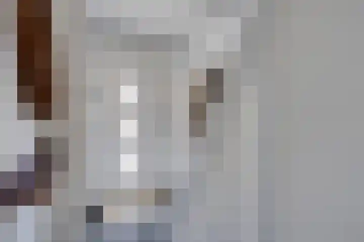 Burgemeester Lespinassestraat 7 Maastricht thumbnail 6