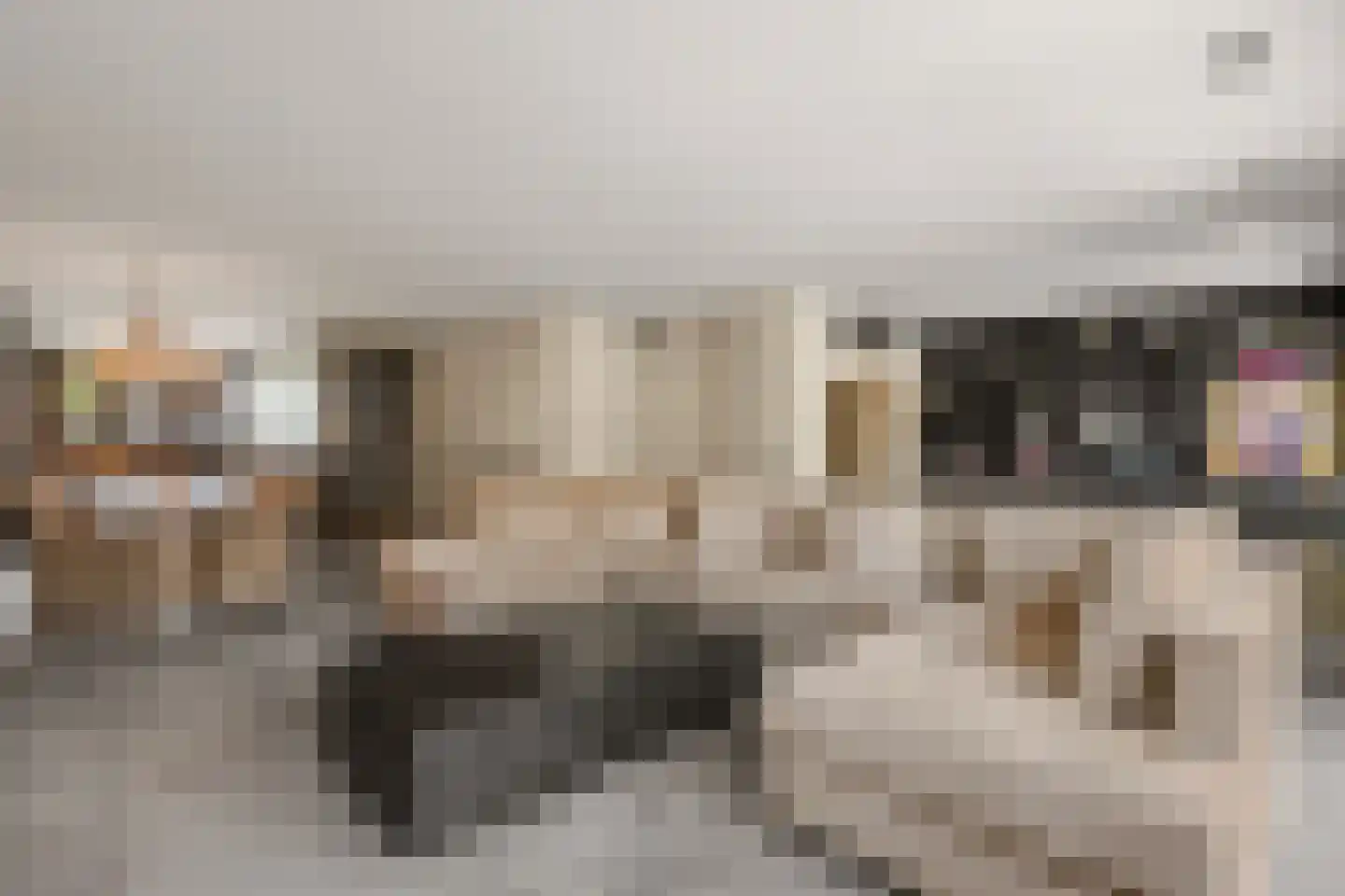 Burgemeester Letschertlaan 37 Uithoorn thumbnail 11