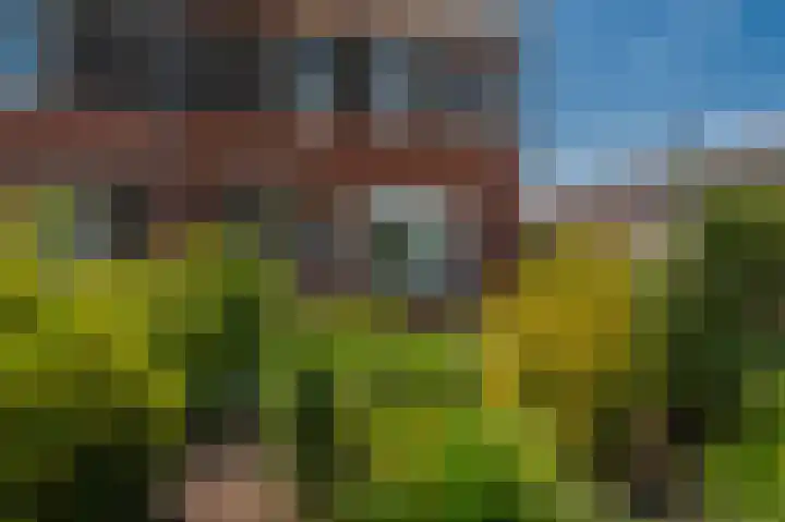 Burgemeester Lewe van Aduardstraat 1 Appingedam thumbnail 11