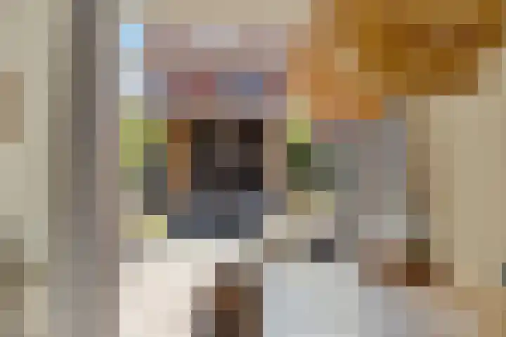 Burgemeester Liesestraat 5 Wildervank foto 2