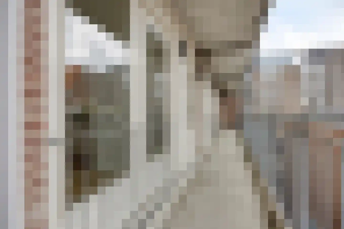 Burgemeester Loeffplein 116 's-Hertogenbosch thumbnail 18