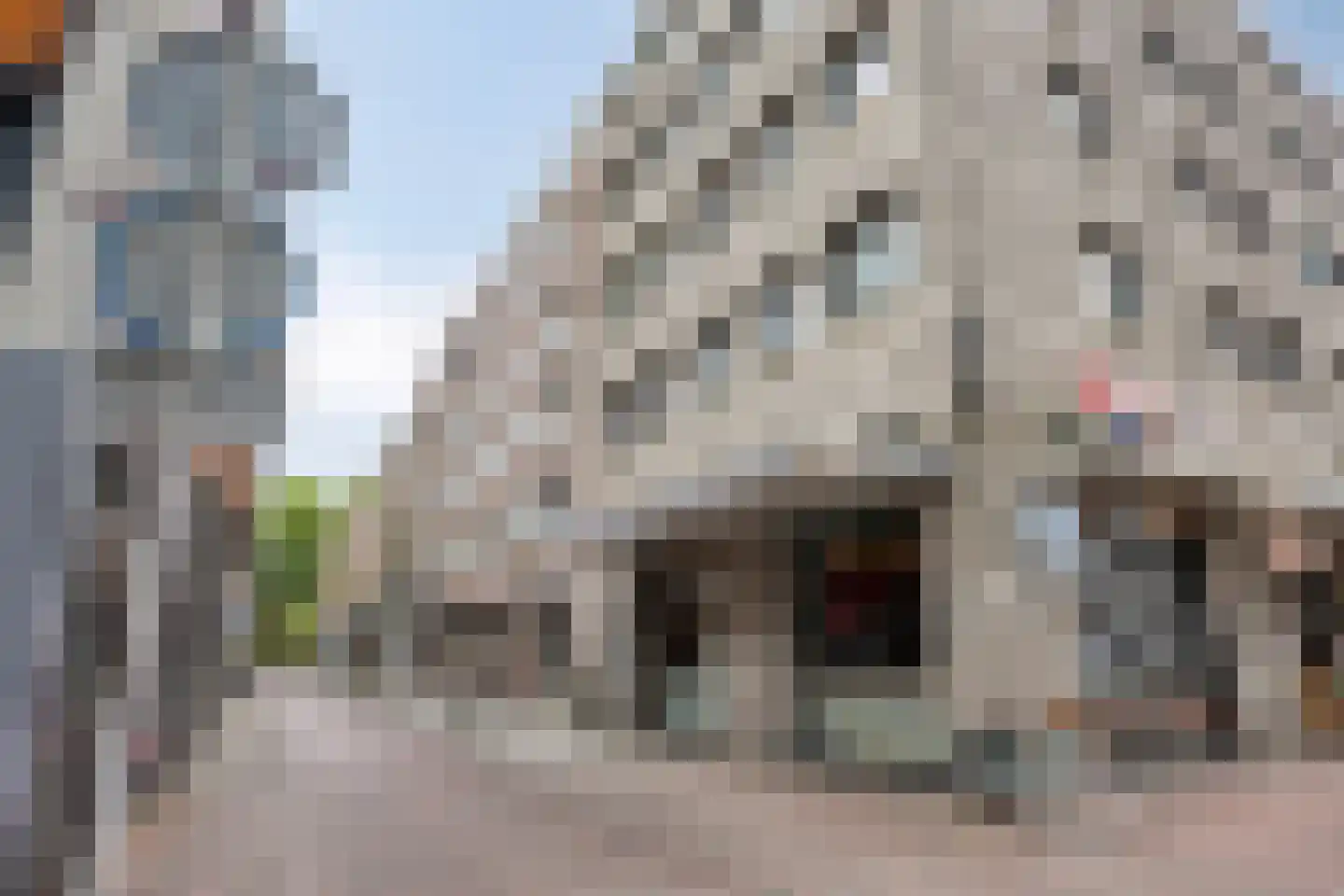 Burgemeester Loeffplein 116 's-Hertogenbosch thumbnail 27