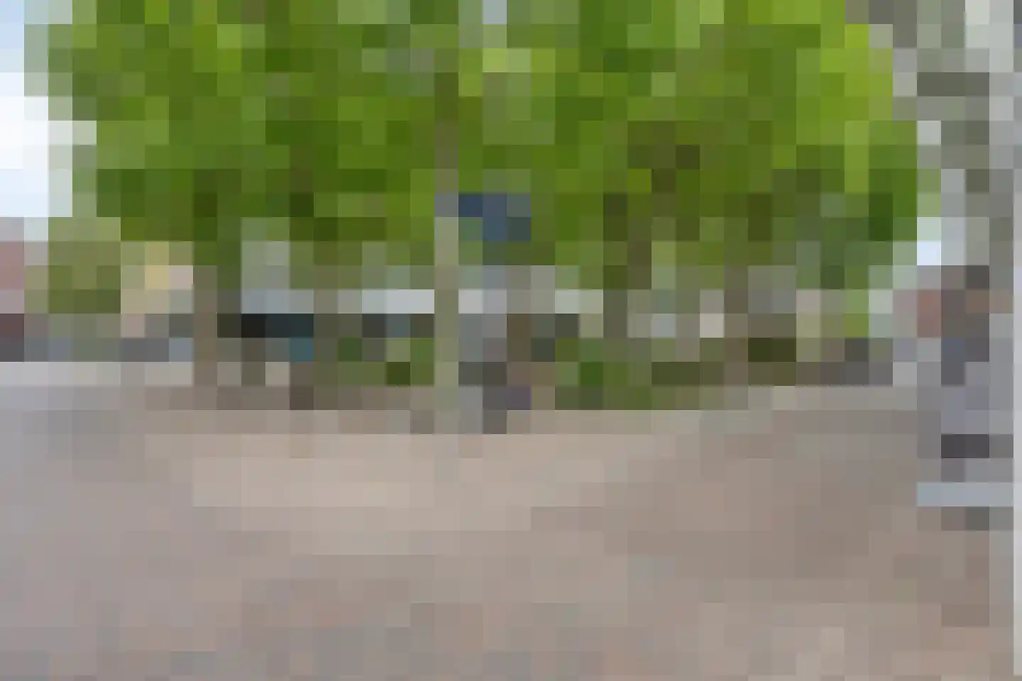 Burgemeester Loeffplein 116 's-Hertogenbosch thumbnail 29