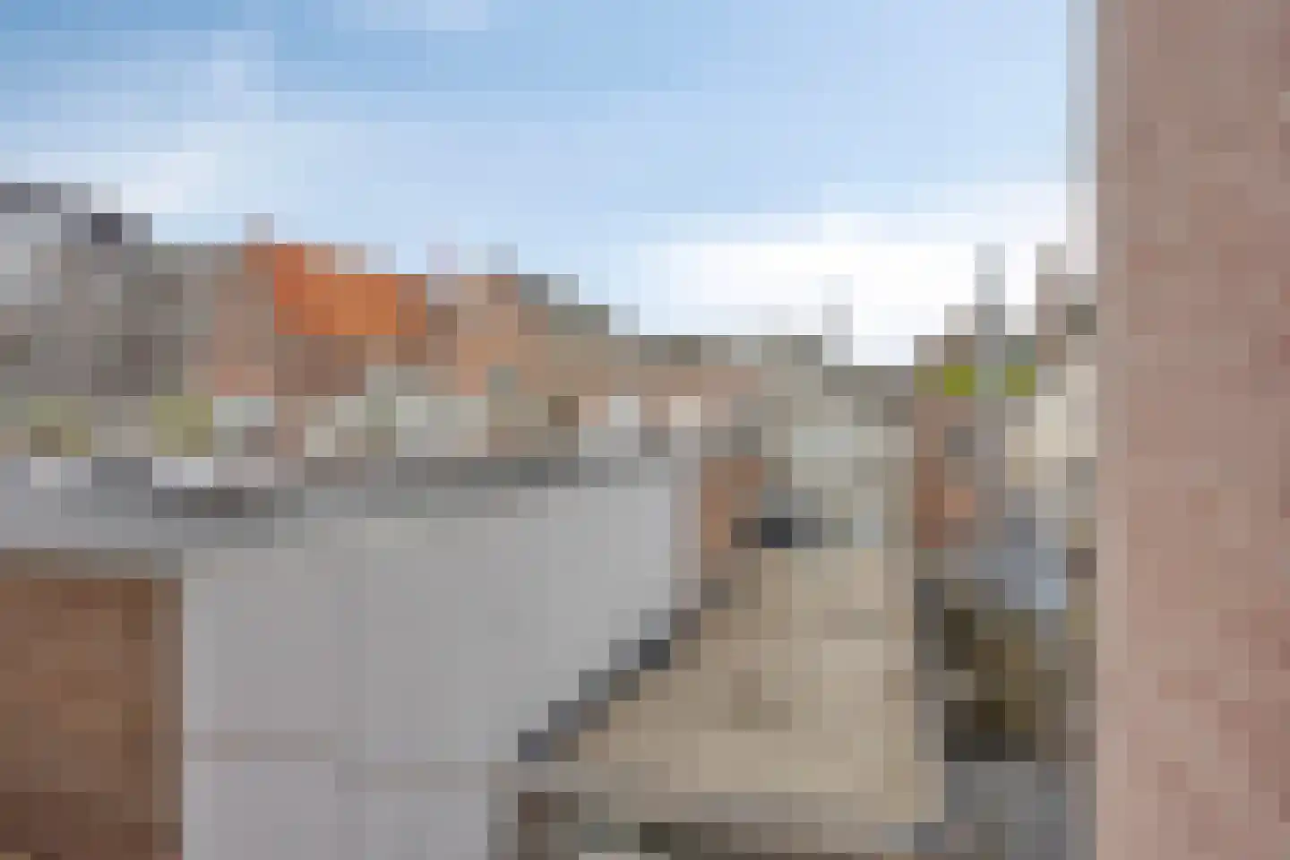 Burgemeester Loeffplein 116 's-Hertogenbosch thumbnail 30