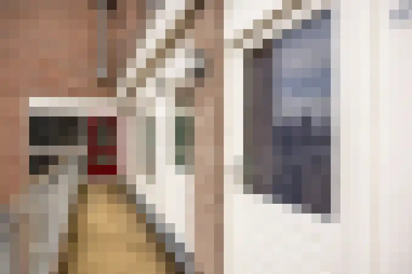 Burgemeester Loeffplein 124 's-Hertogenbosch thumbnail 18