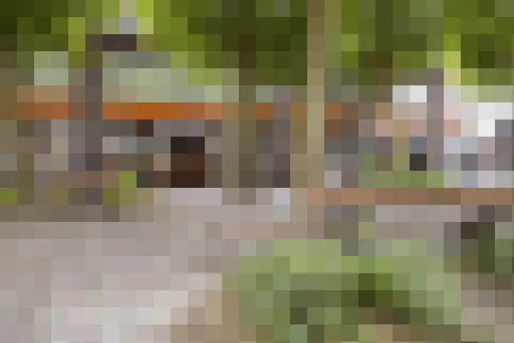 Burgemeester Loeffplein 22 's-Hertogenbosch thumbnail 28
