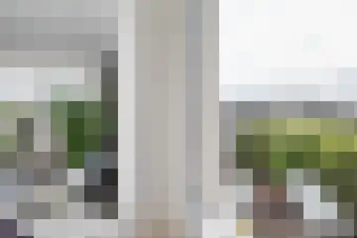 Burgemeester Loeffplein 23 's-Hertogenbosch thumbnail 14