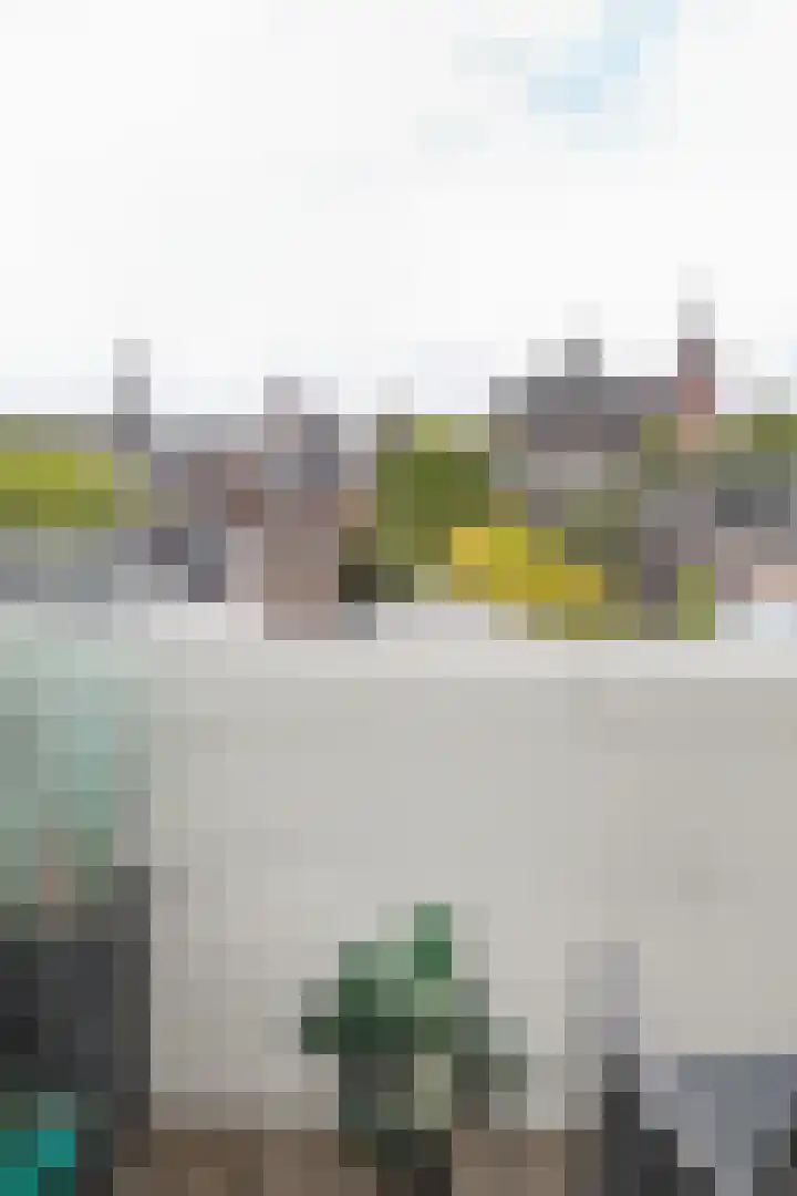 Burgemeester Loeffplein 23 's-Hertogenbosch thumbnail 6