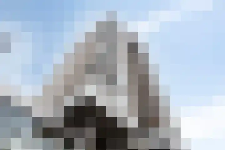 Burgemeester Loeffplein 36 's-Hertogenbosch thumbnail 30
