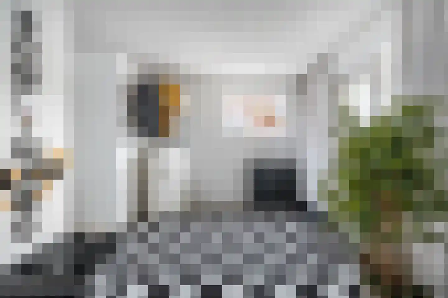 Burgemeester Lommenstraat 4 Castricum thumbnail 14
