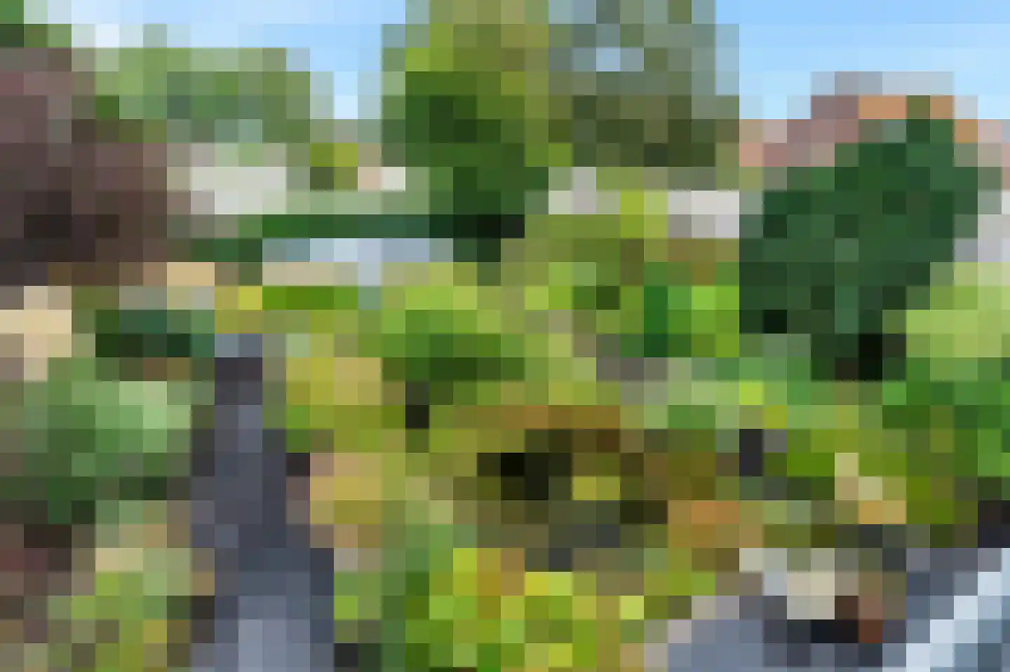 Burgemeester Lommenstraat 4 Castricum thumbnail 90
