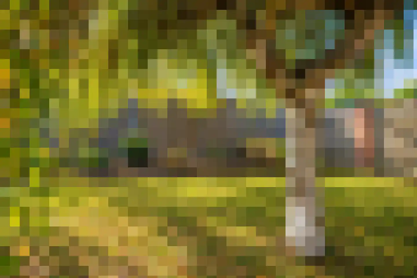 Burgemeester Loysonstraat 7 Landgraaf thumbnail 16