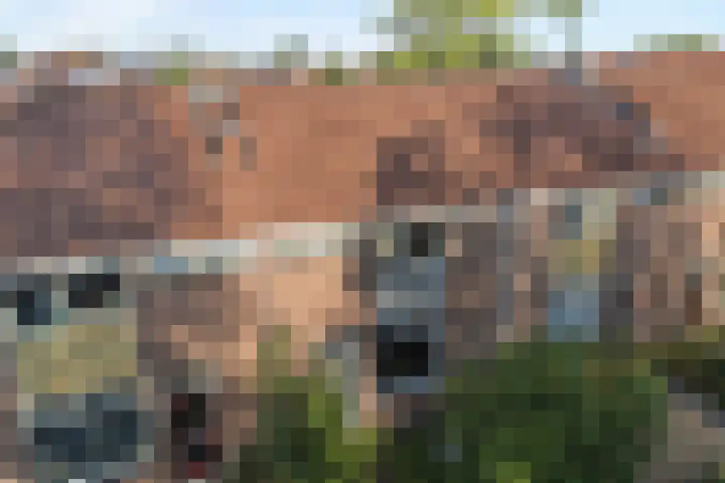 Burgemeester Mackaystraat 3 Meppel thumbnail 11