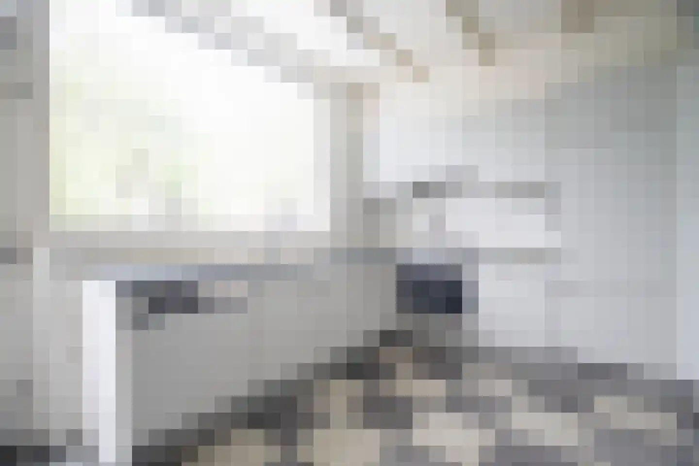 Burgemeester Maeijerstraat 7 Moergestel thumbnail 10