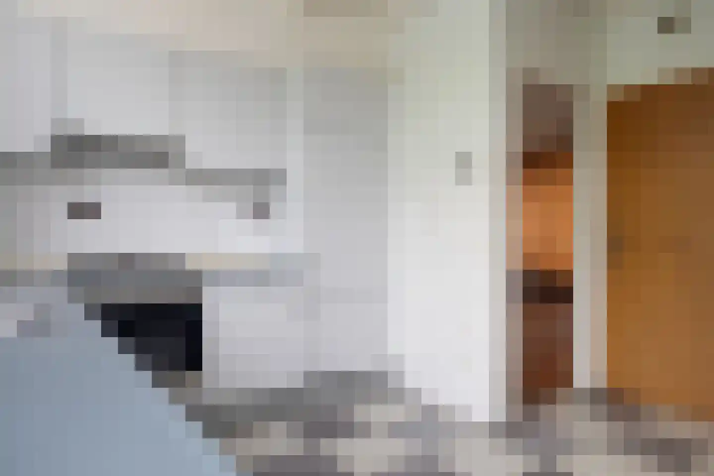 Burgemeester Maeijerstraat 7 Moergestel thumbnail 12