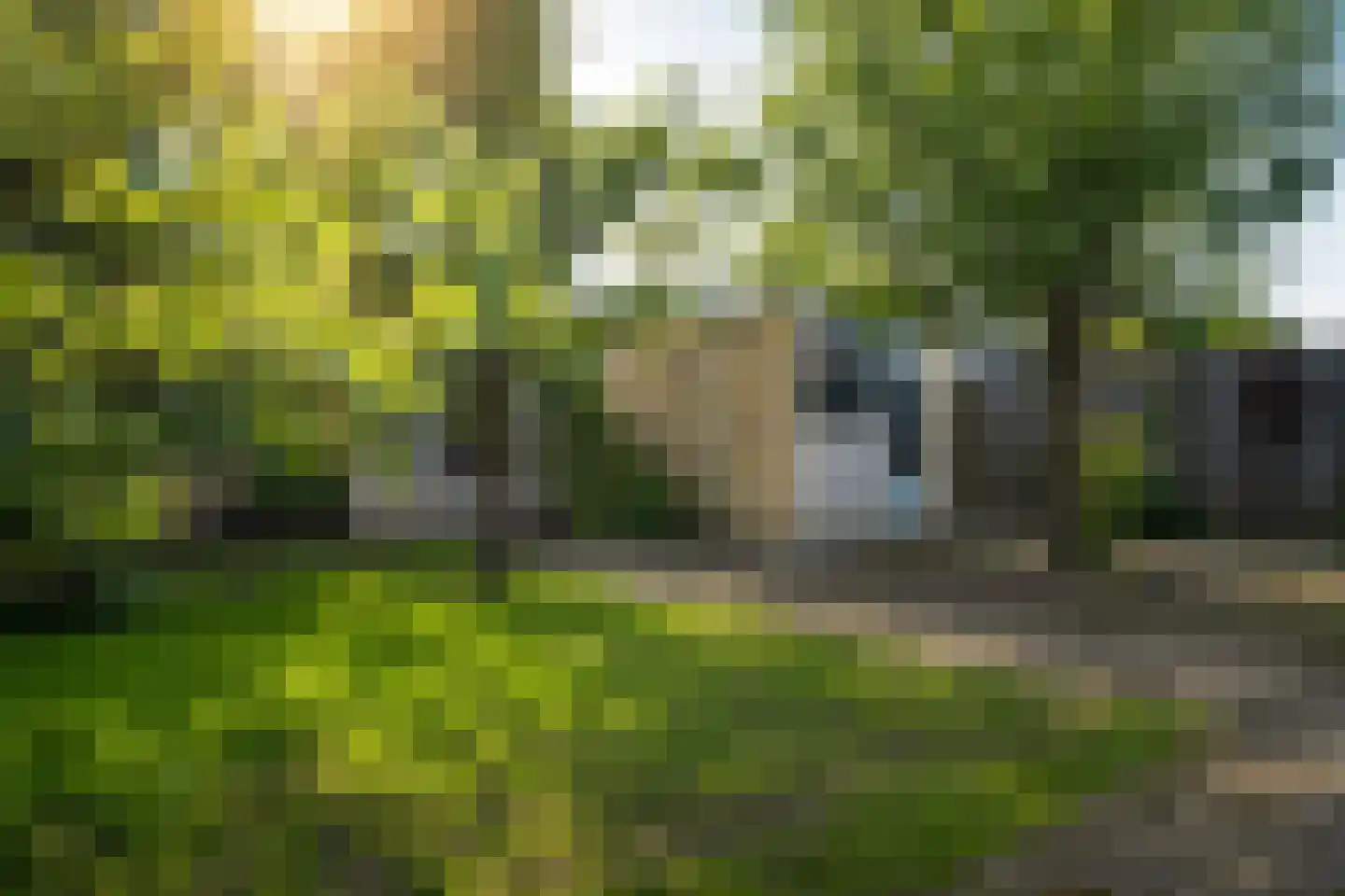 Burgemeester Maeijerstraat 7 Moergestel thumbnail 26
