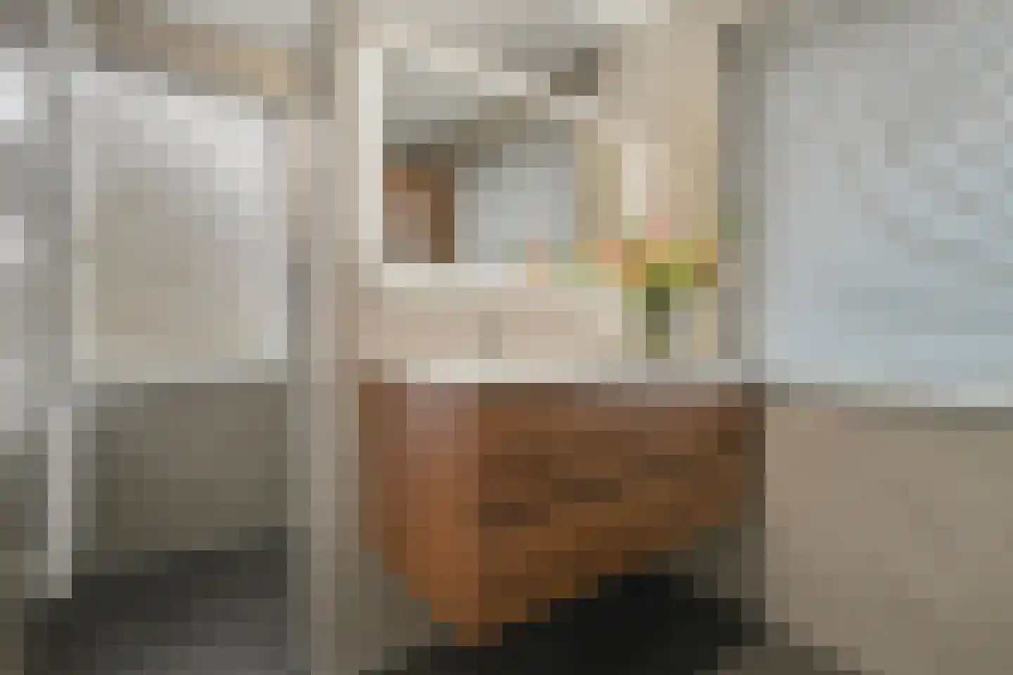 Burgemeester Magneestraat 10 Luyksgestel thumbnail 30
