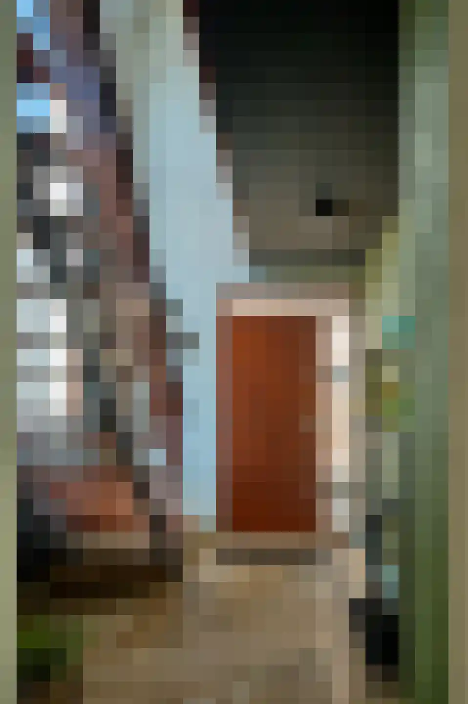 Burgemeester Magneestraat 21 Bergeijk thumbnail 4