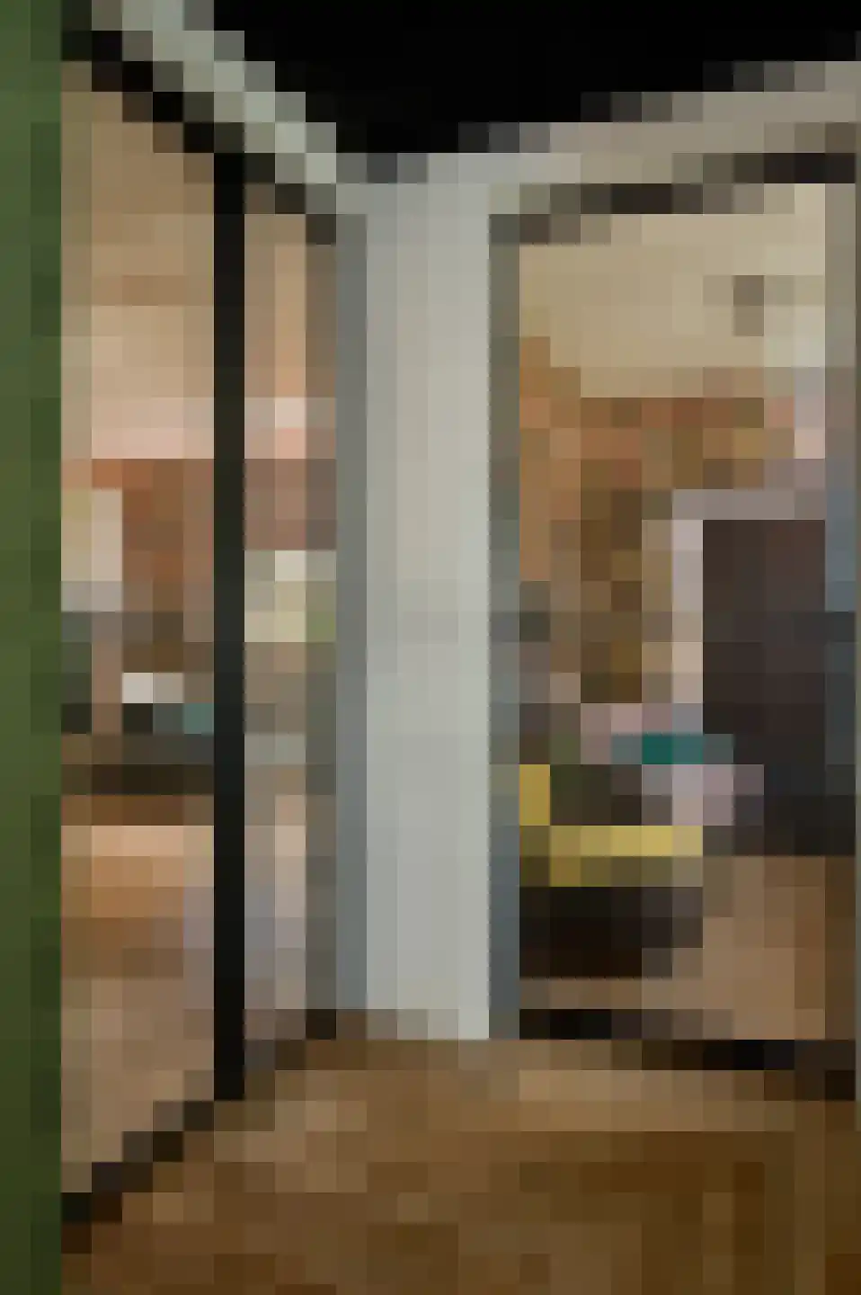 Burgemeester Magneestraat 21 Bergeijk thumbnail 5