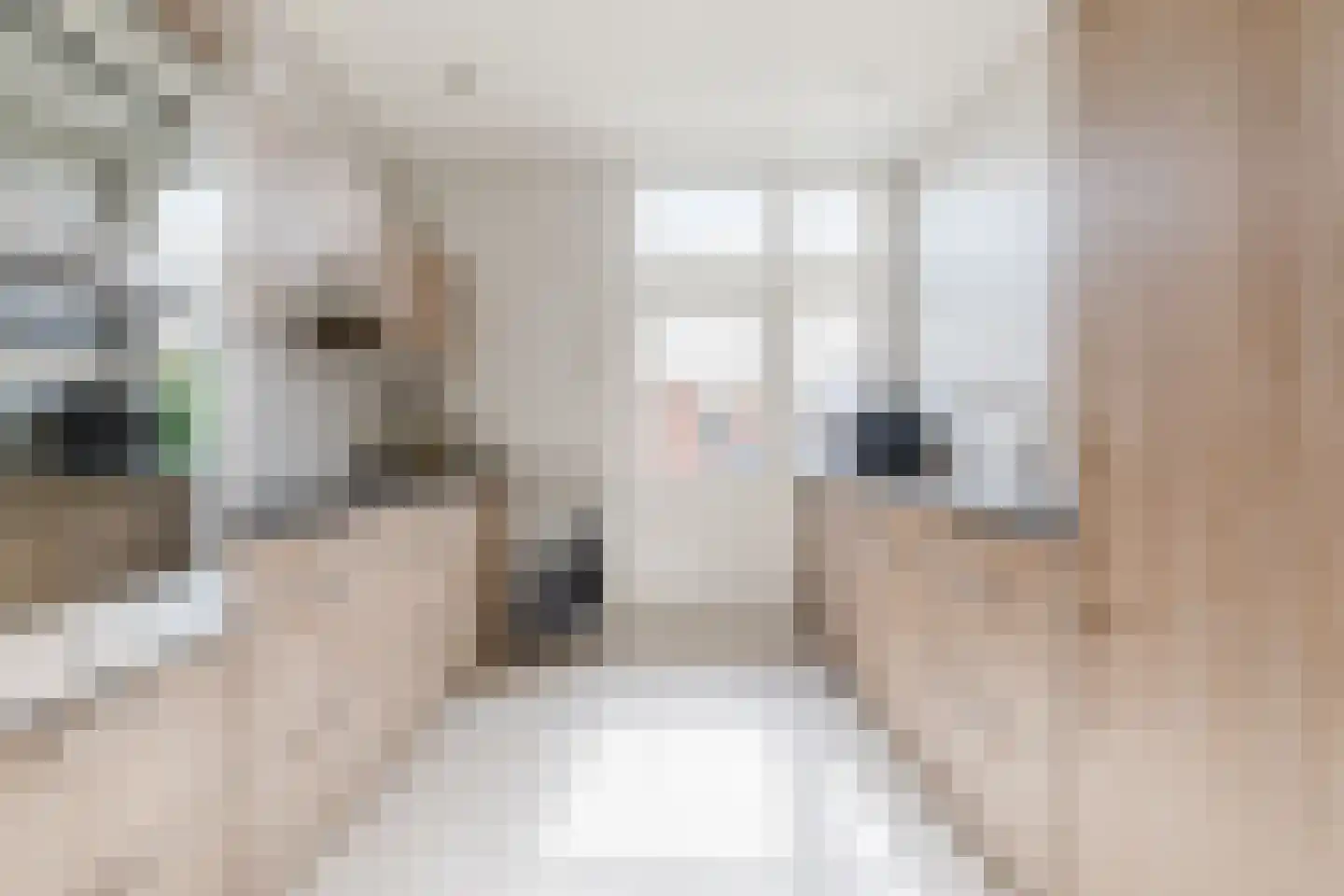 Burgemeester Magneestraat 66 Bergeijk thumbnail 10