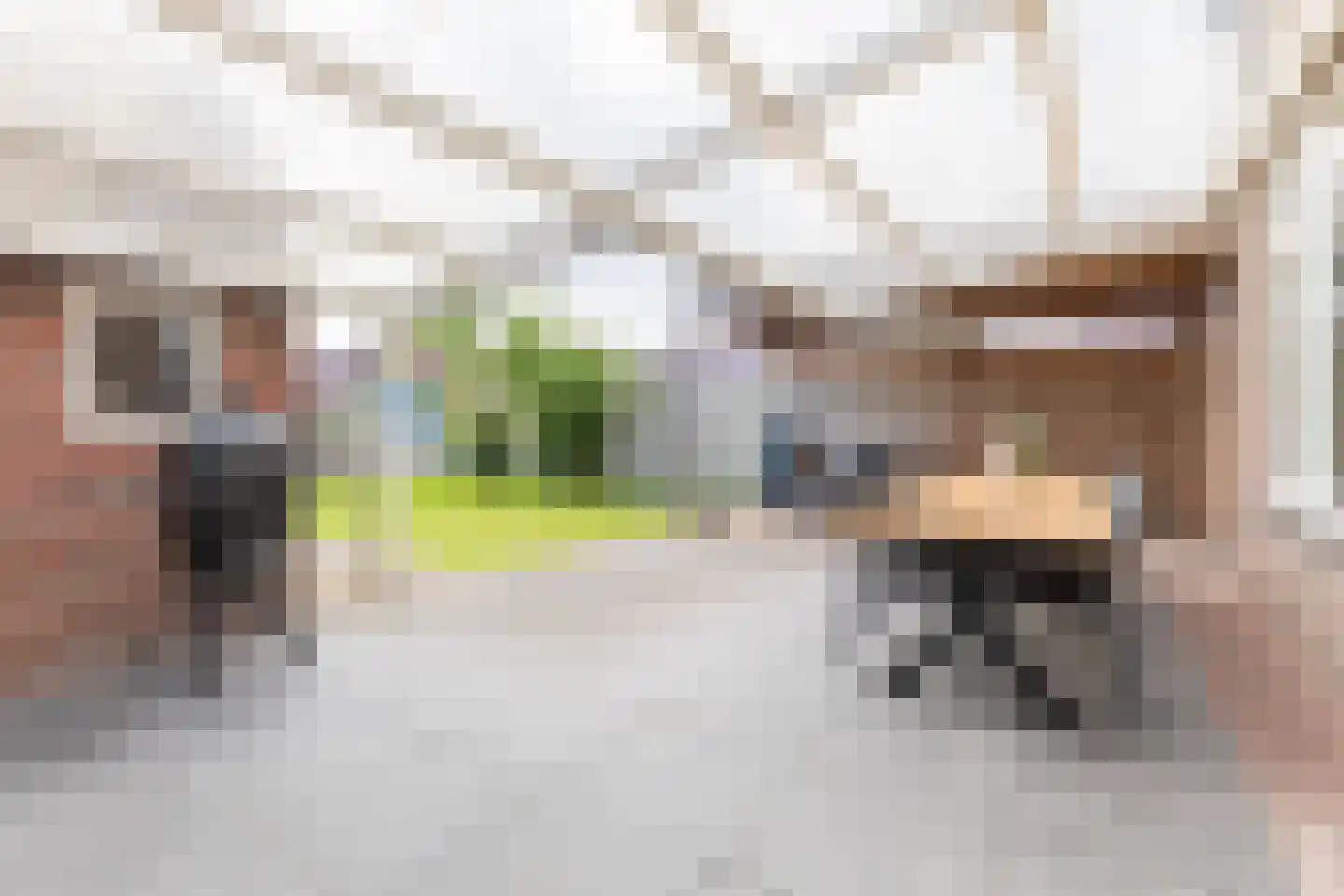 Burgemeester Magneestraat 66 Bergeijk thumbnail 23