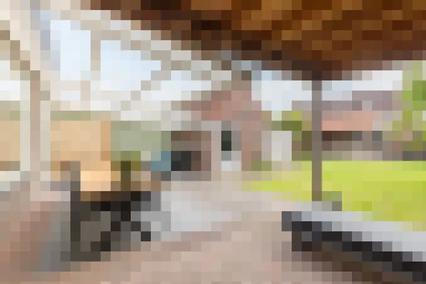 Burgemeester Magneestraat 66 Bergeijk thumbnail 24