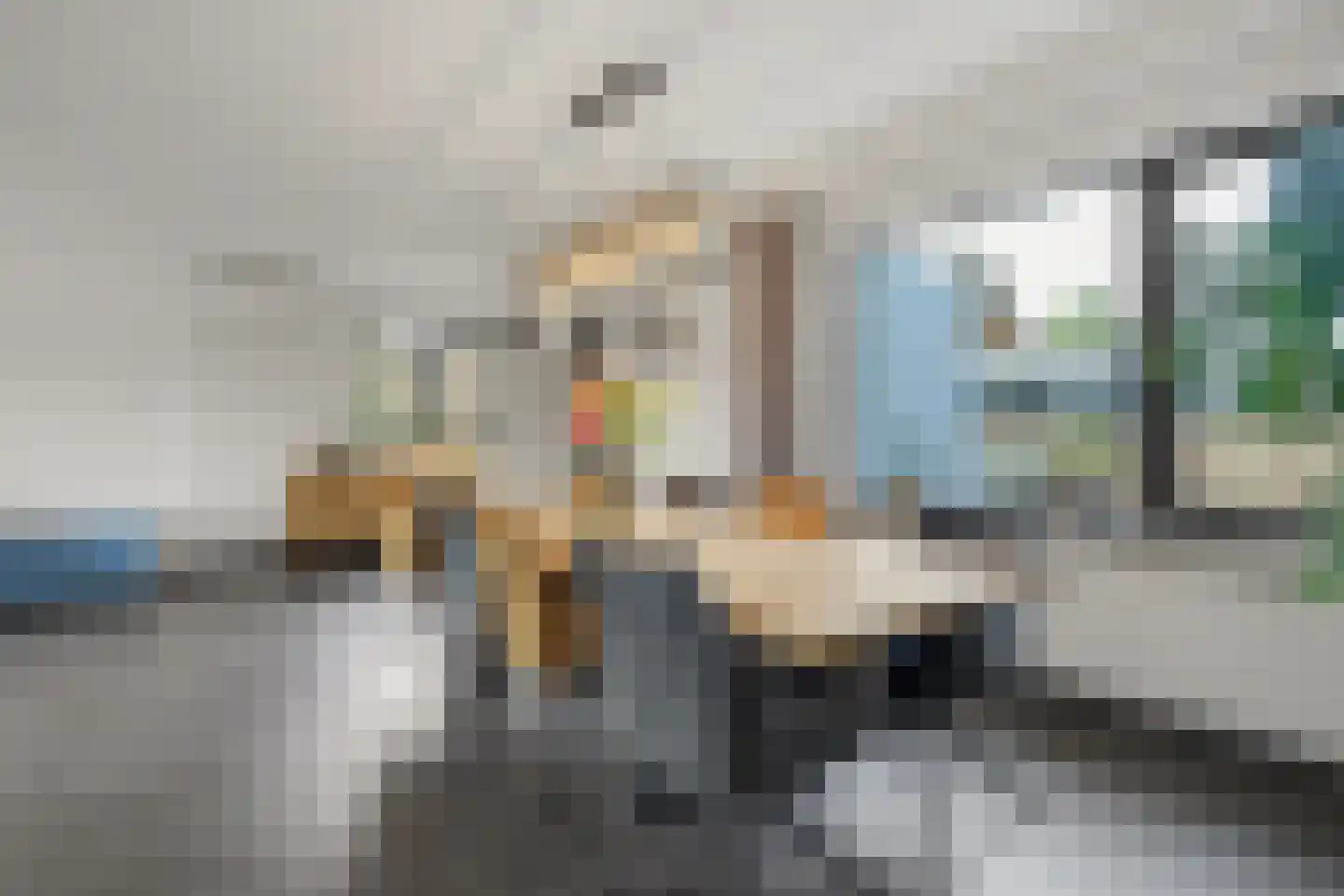 Burgemeester Magneestraat 8 Luyksgestel thumbnail 13